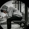 os_luxiopanter