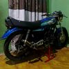 randi.gz40
