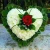 ibrahimkhan886699