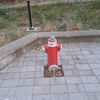 buda.vladimir