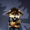 user336130214