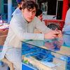 saqibafg91