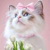 happy.girl2825