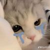 hina52656