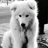 loky0212