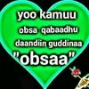 siifaanii.koo