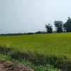 jenjen2791