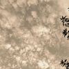 hadifa_0904