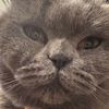 teopml_06