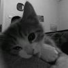 wopp_wopp28