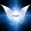 user9032838850143