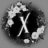 xasterr6