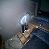 yousef.hendy8