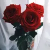 user6967305261188