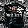 daviditanare2010