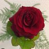 jeren5215