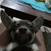 rancantrun0