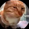 mr.dot0much