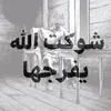 xcvchdh