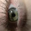 alirellsjolie