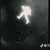 mlswjmj