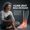 Tentang Asam Urat