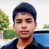 alim8433