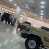 karzan_mziri0