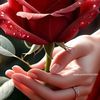 user6612233072283