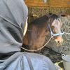 imane37470