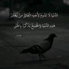hassan.mohamed0380