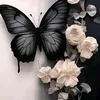 z_olli16