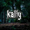 kaliy446