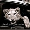 user94012409083408