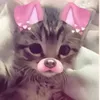 little.fifi