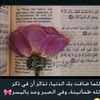 rehabmohamed1595
