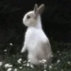 f_a_313_a