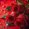 user467125061