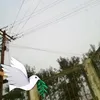 alejandrocorrea691