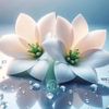jafor.sadek7