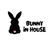 BUNNY IN HOUSE