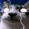 elgatochambeador14