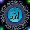 user341913418369