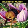 viva.la.chacra