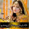 ibraheem.watto.099