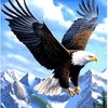 diyaa.zakher
