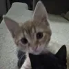 taiyo_.0
