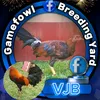 vjbgamefowl