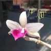 GiảiTríTiktok ❤️