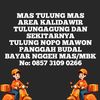 mastulungono0